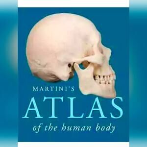 Martini's Atlas of the Human Anatomy Book for Medical Nursing Student 153 pages